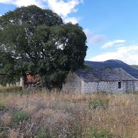 The Globetrotter'S Residence Kaštel Novi 外观 照片
